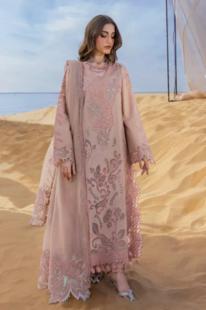 Rang Rasiya | Dhanak-3PC - 7005